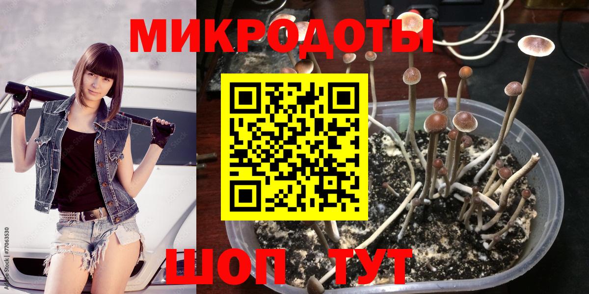 Кимры  Галлюциногенные грибы Psilocybe  Вход с VPN 