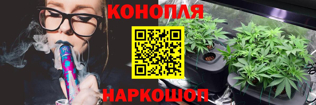 Бошки Шишки тримм Кимры